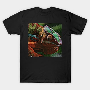 Colorizard T-Shirt